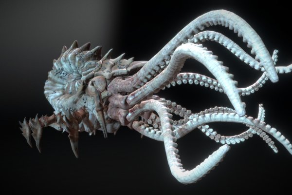 Kraken 13 at сайт