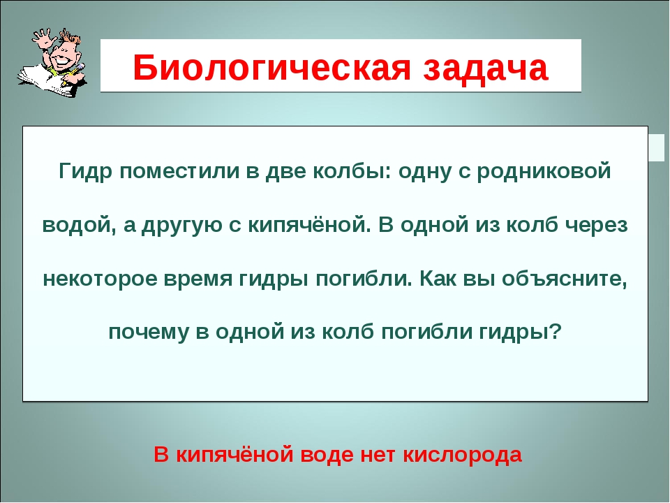 Сайты для даркнета