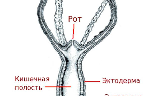 Рабочая ссылка на кракен kraken 11