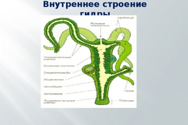 Kraken com зеркало