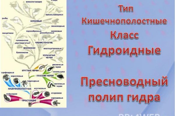 Ссылка на кракен krawebes
